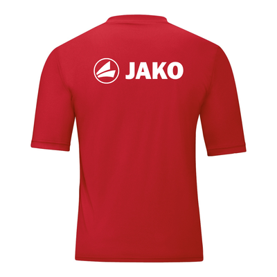 JAKO Trikot Team (inkl. Bedruckung) - SSV Reutlingen